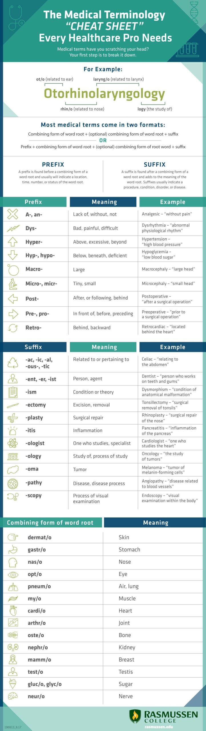 The Medical Terminology Cheat Sheet Every Healthcare Pro Db excel