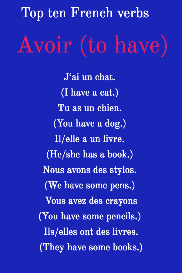 The Verb Avoir