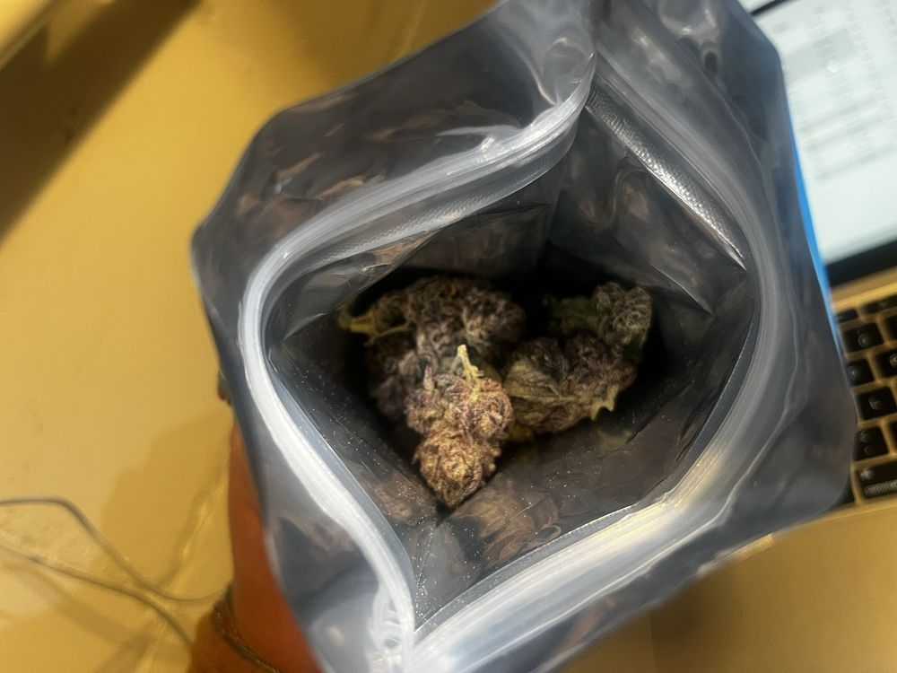 herb is the verb herb is the verb