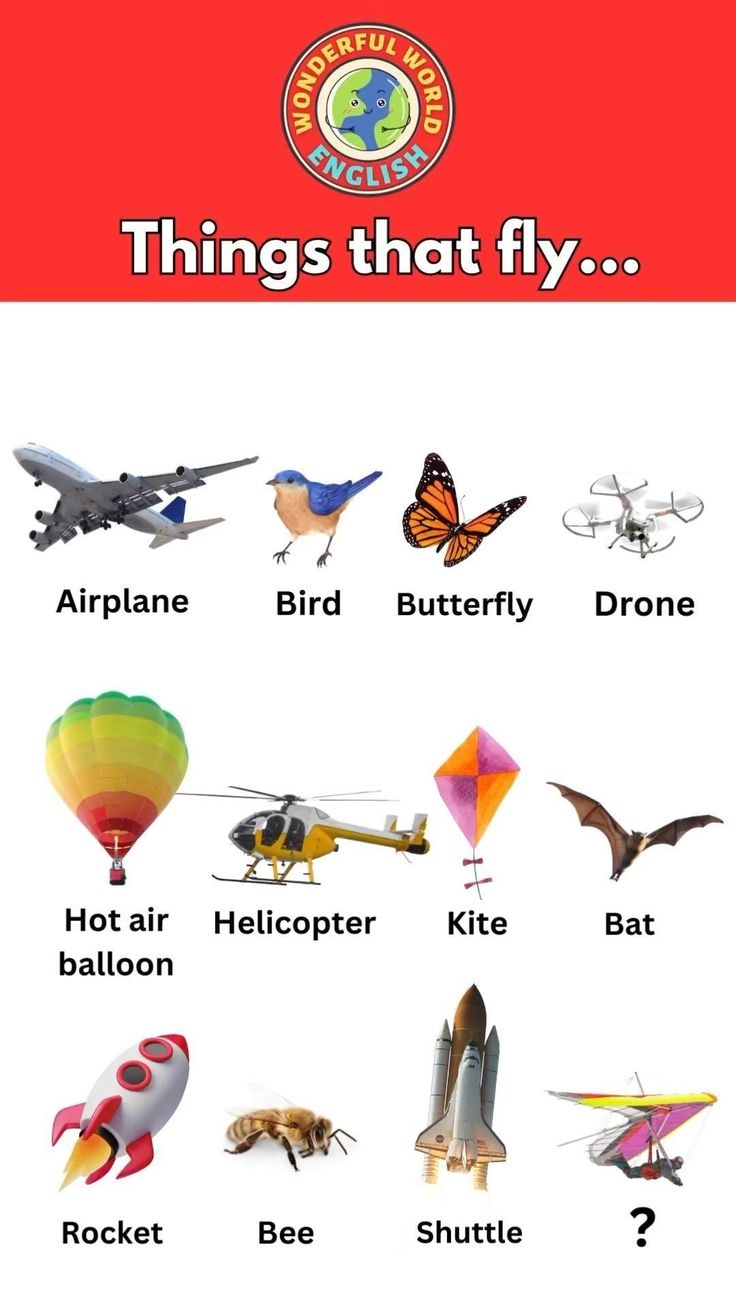 Things That Fly Discover Various Objects And Creatures That Can Fly 