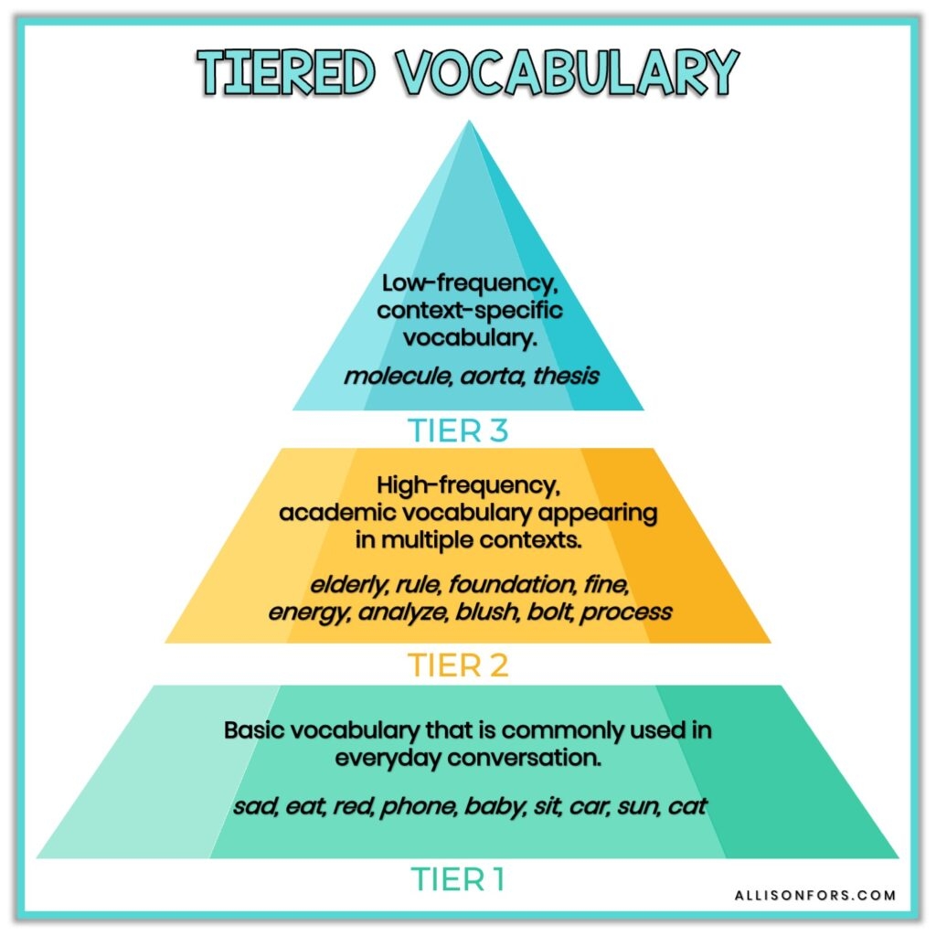 vocabulary list