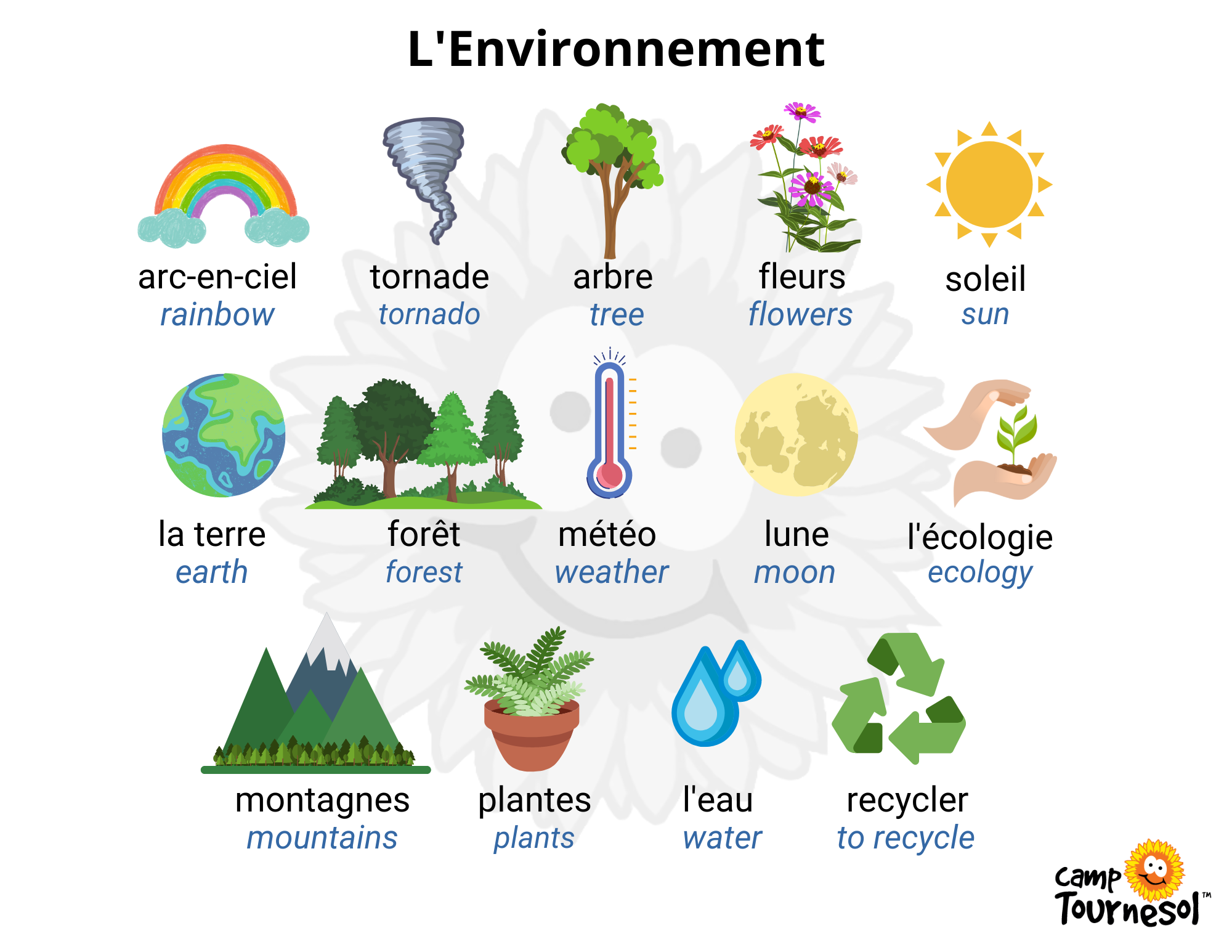 Useful French Vocabulary The Environment
