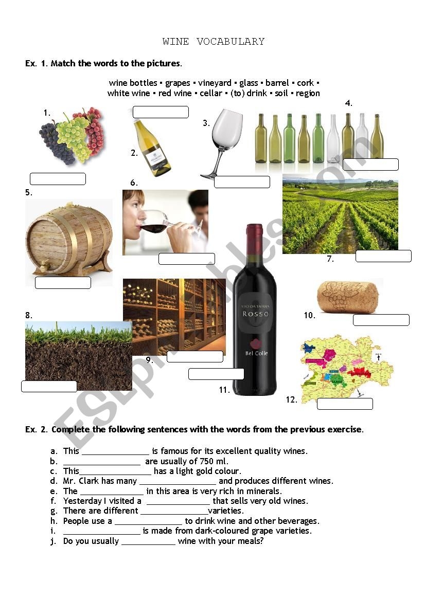 Vocabulary And Reading Comprehension About Wine ESL Worksheet By Dcervera