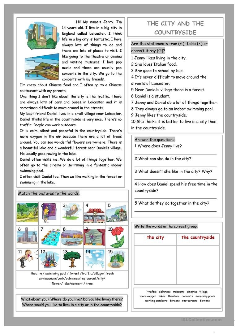 Vocabulary Comprehension Worksheets