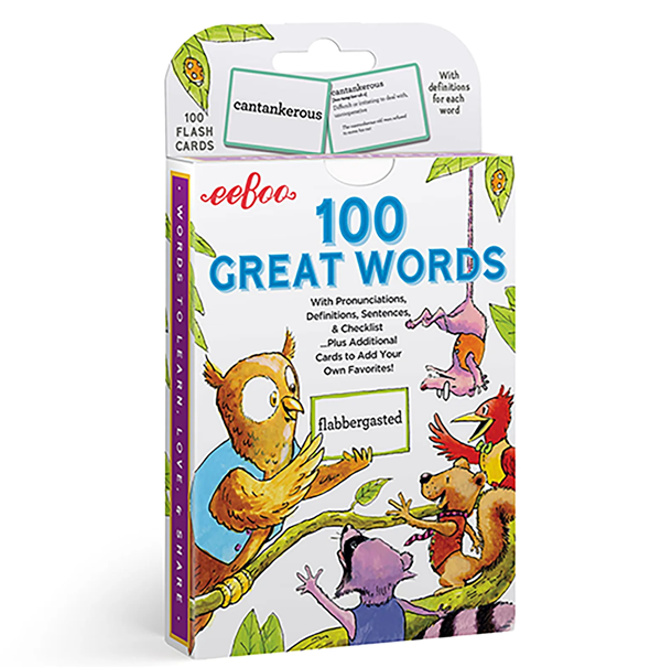 Vocabulary Flash Cards CPPS