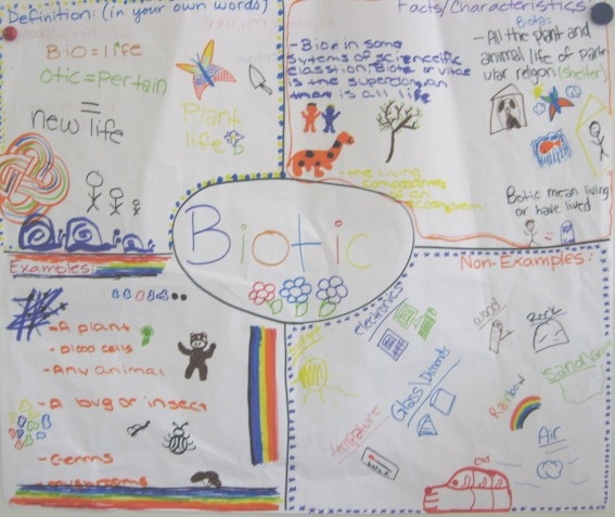 Vocabulary Strategies