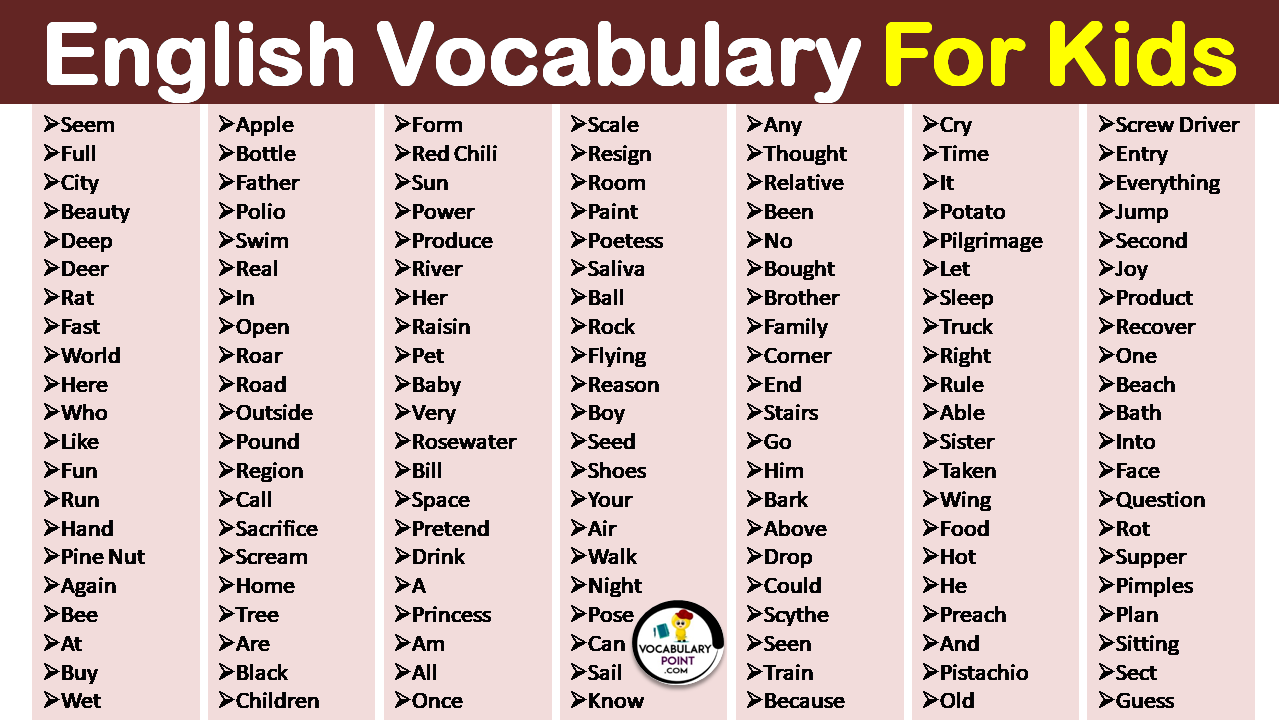 new vocabulary list