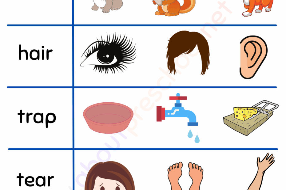 Vocabulary Worksheet 20 About Preschool