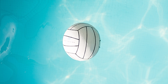 Volleyball Vocabulary In English ABA Journal
