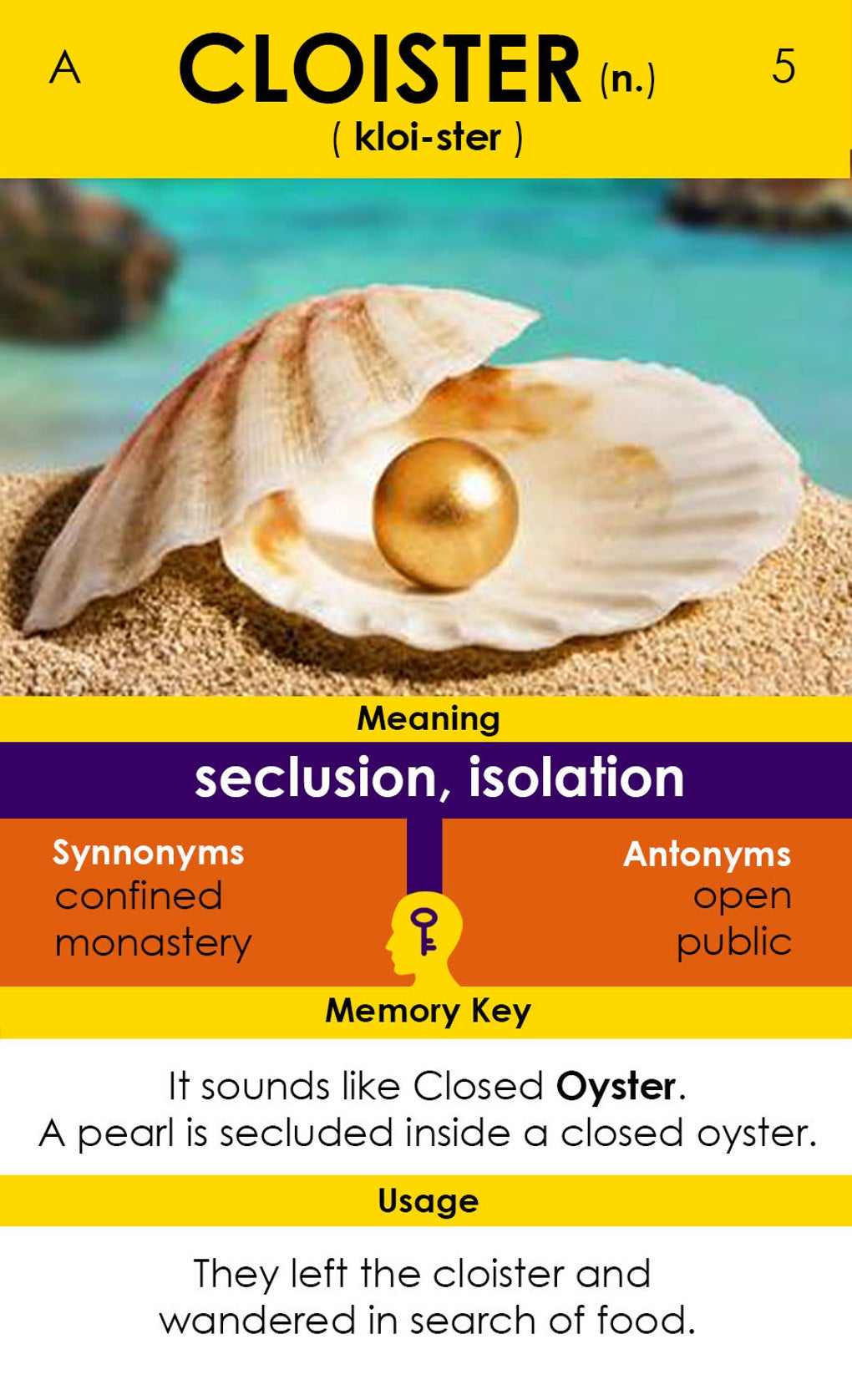 VoLT Vocabulary Builder APK For Android Download