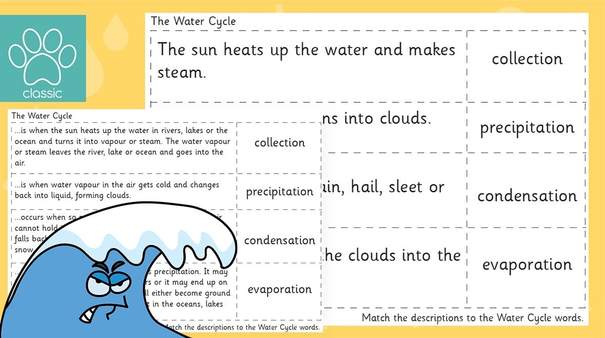 Water Cycle Vocabulary Science Vocabulary Water Cycle Review 