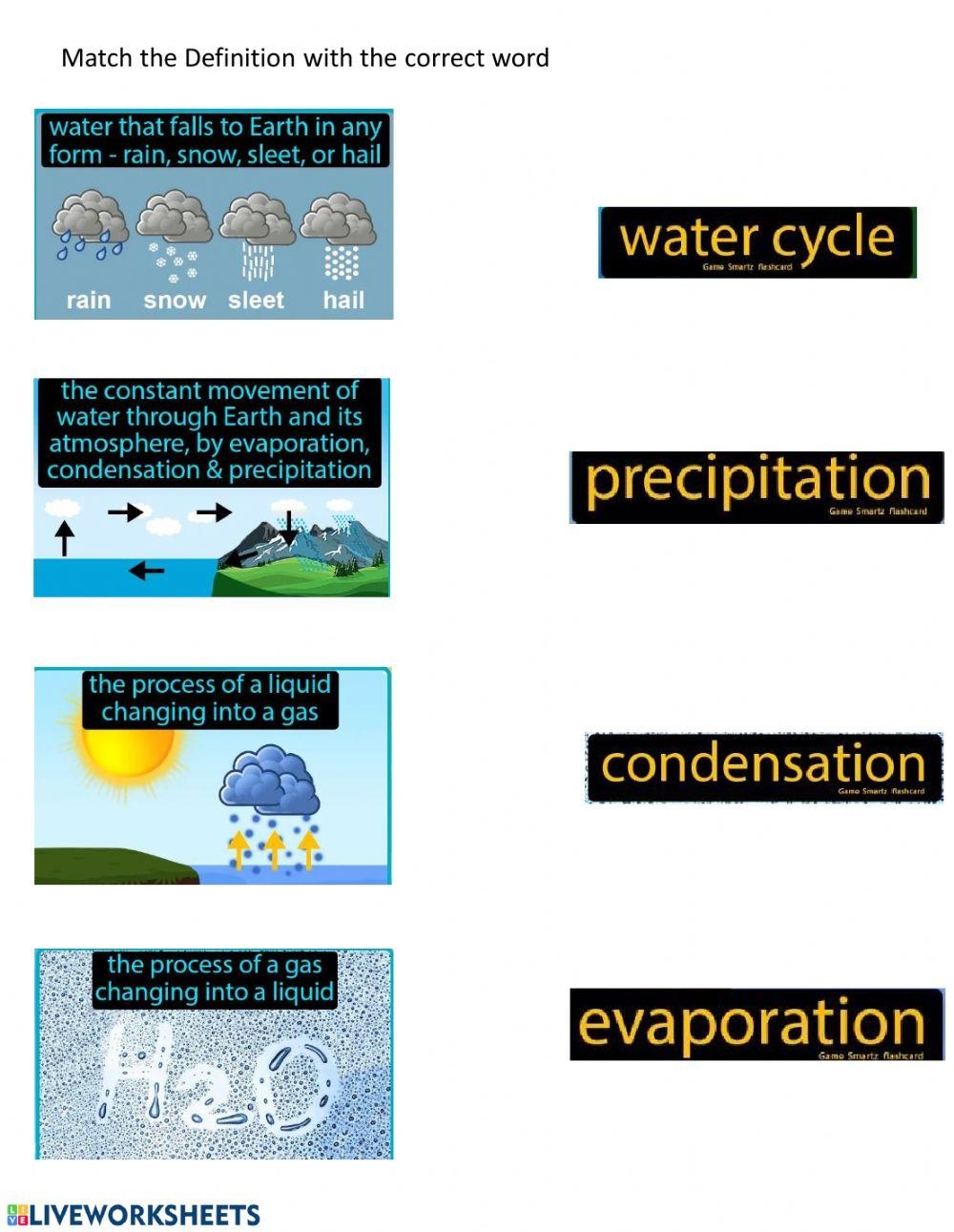 Water Cycle Vocabulary Worksheet Worksheets Library