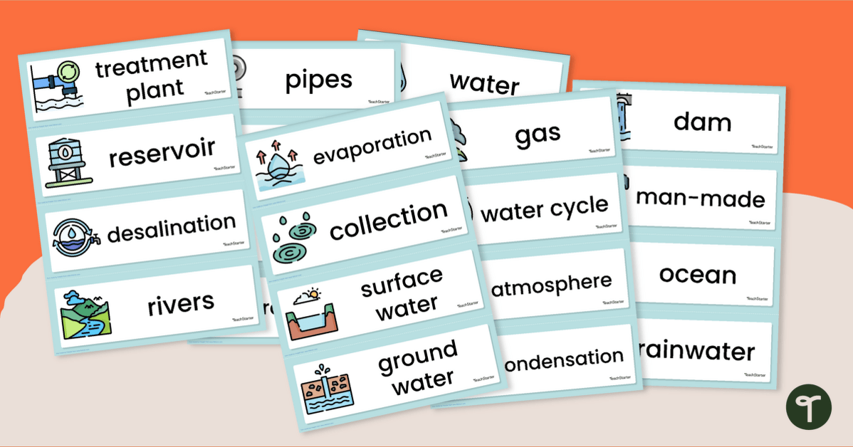 water cycle vocabulary
