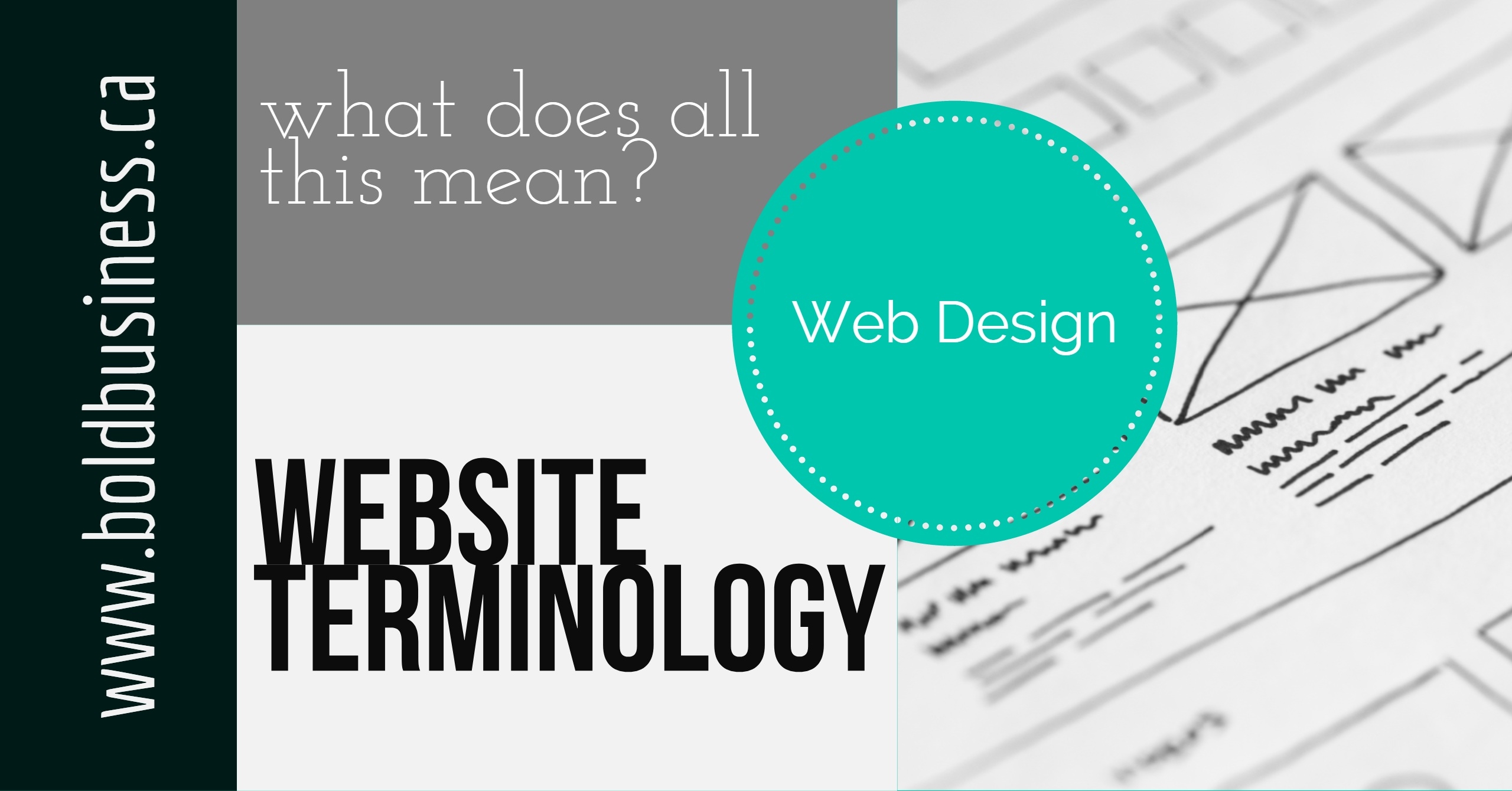 Website Terminology Bold Business Solutions Ottawa Web Design 