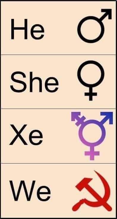 What Are Neo Pronouns Aidose