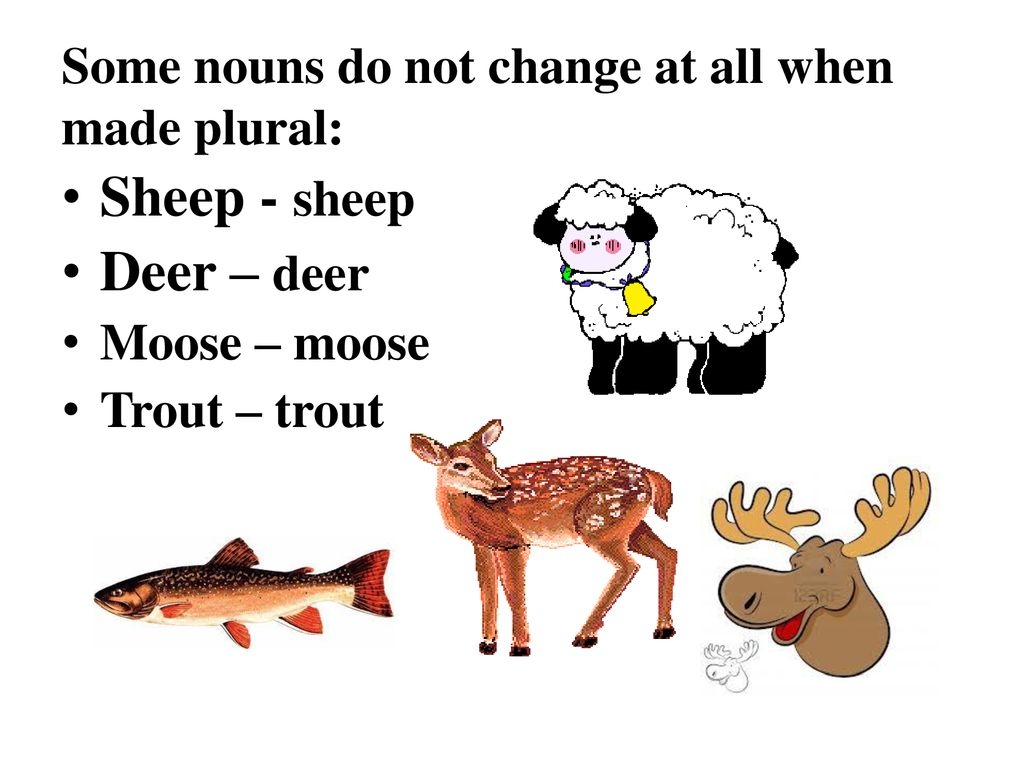What Is The Pluaral Noun Of Moose Moose Wiktionary Nouns Remaining 