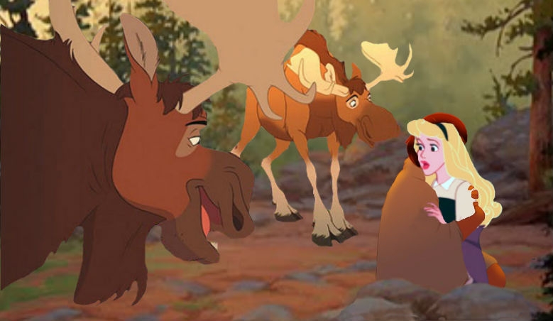 What Is The Pluaral Noun Of Moose Moose Wiktionary Nouns Remaining 