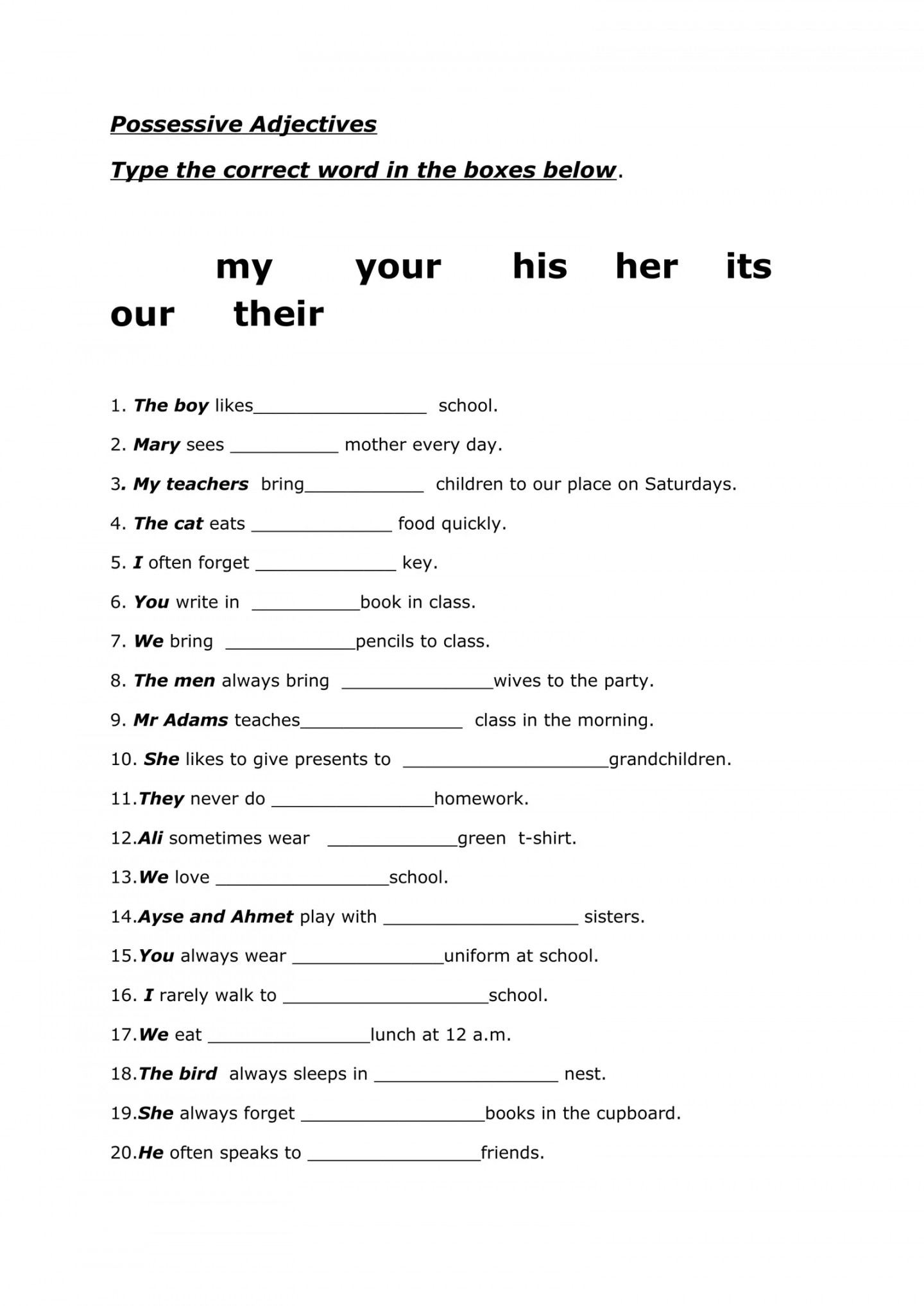 Worksheet For Possessive Pronouns Printable PDF Template