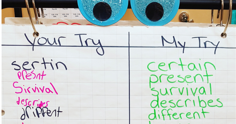 Your Try My Try Spelling Chart RUNDE 39 S ROOM