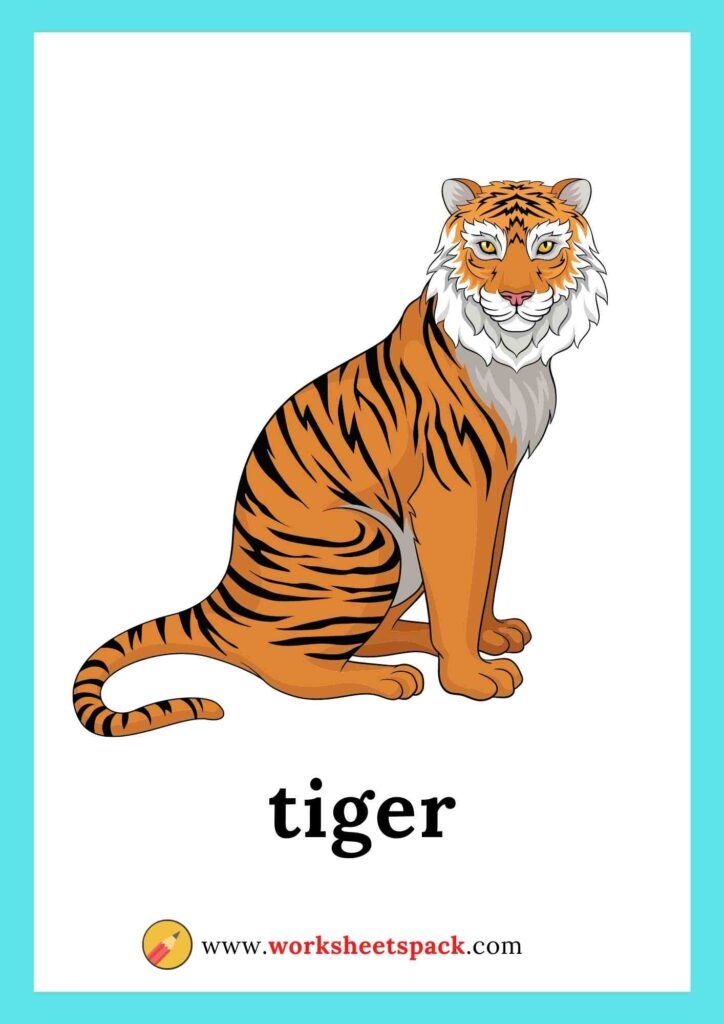 Zoo Animal Flashcards Free Printable Worksheetspack