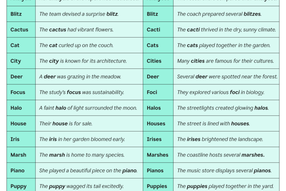Plural Nouns Rules And Examples Grammarly